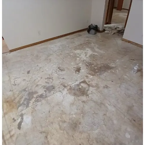 Carpet-to-Pergo makeover — before